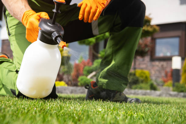 Best Wildlife Control Services  in Arnold, MO