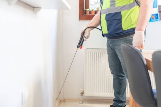 Trusted Arnold, MO Pest Control Experts